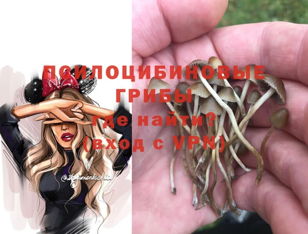MESCALINE Няндома